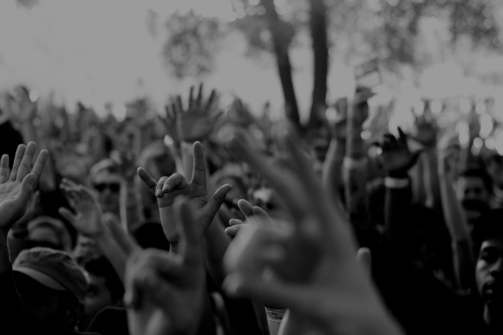 crowd